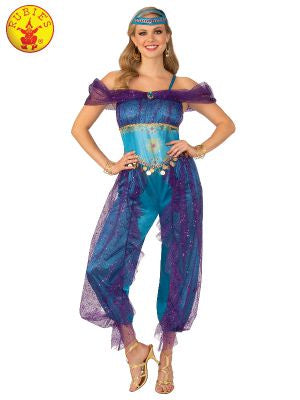 Ladies Genie Costume Medium Size